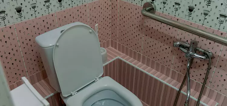Meeting Diverse Needs With Accessible Restroom Solutions in Elko, NV